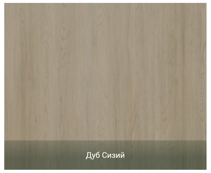 NSD DOORS, модель TR - 05 (Серія TREND) 3342 фото